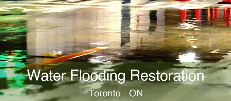  Water Flooding Restoration Toronto - ON
